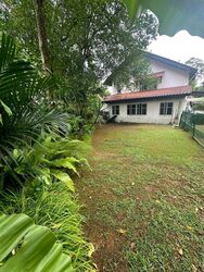 Bin Tong Park (D10), Detached #441820381